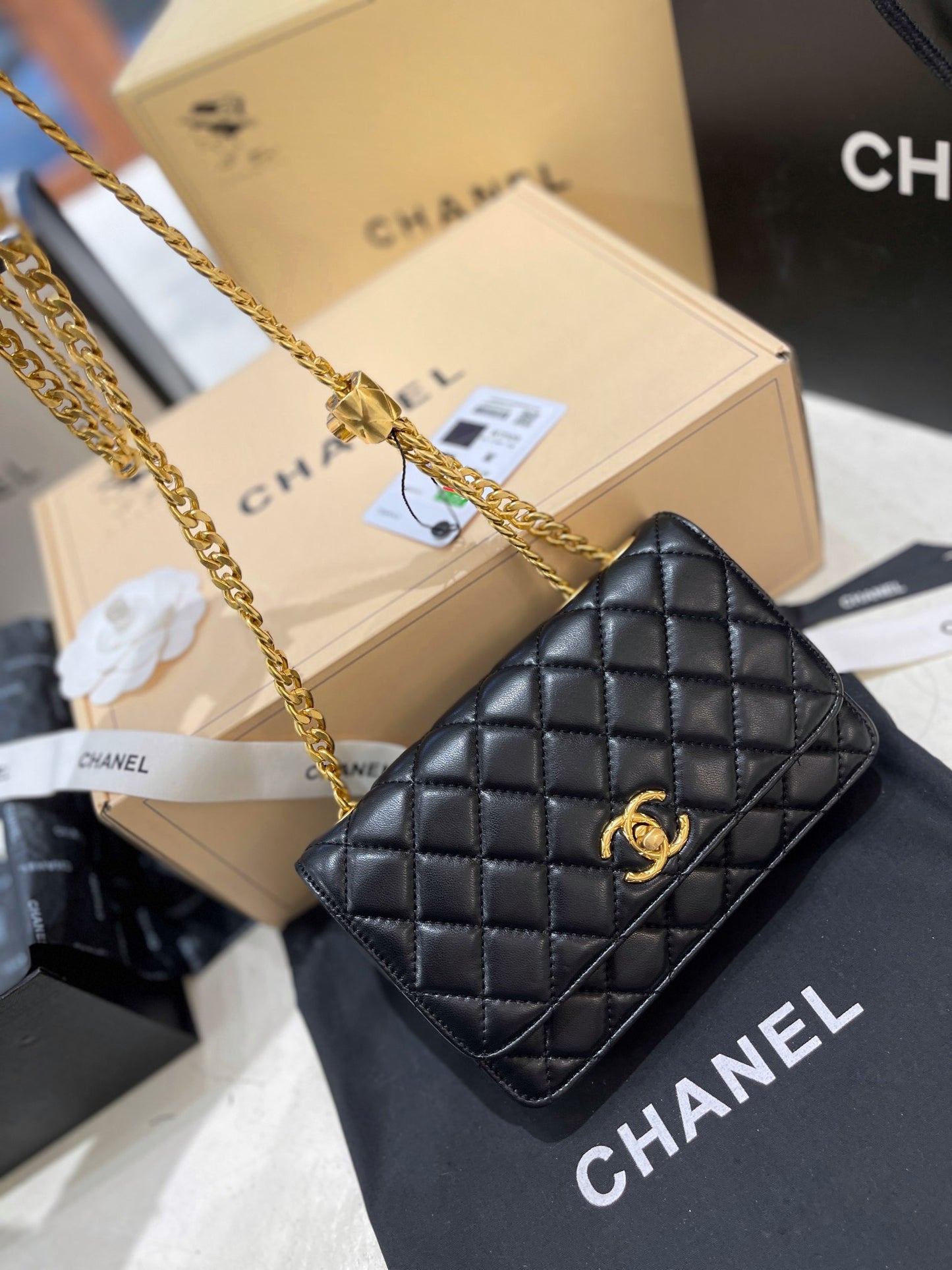 CEM55 New arrive fashion black color bag for woman beautiful gift to choose gift size to choose 19*5*12cm